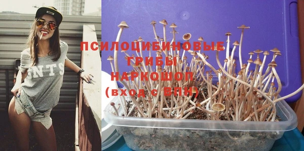 а пвп мука Баксан