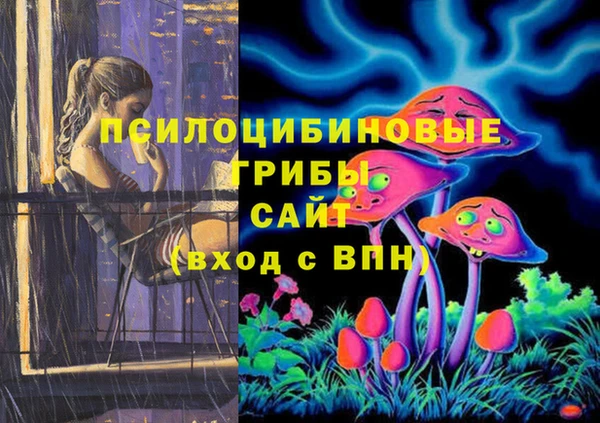 дурь Балахна